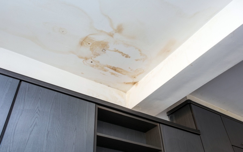 Water stains spreading across a ceiling