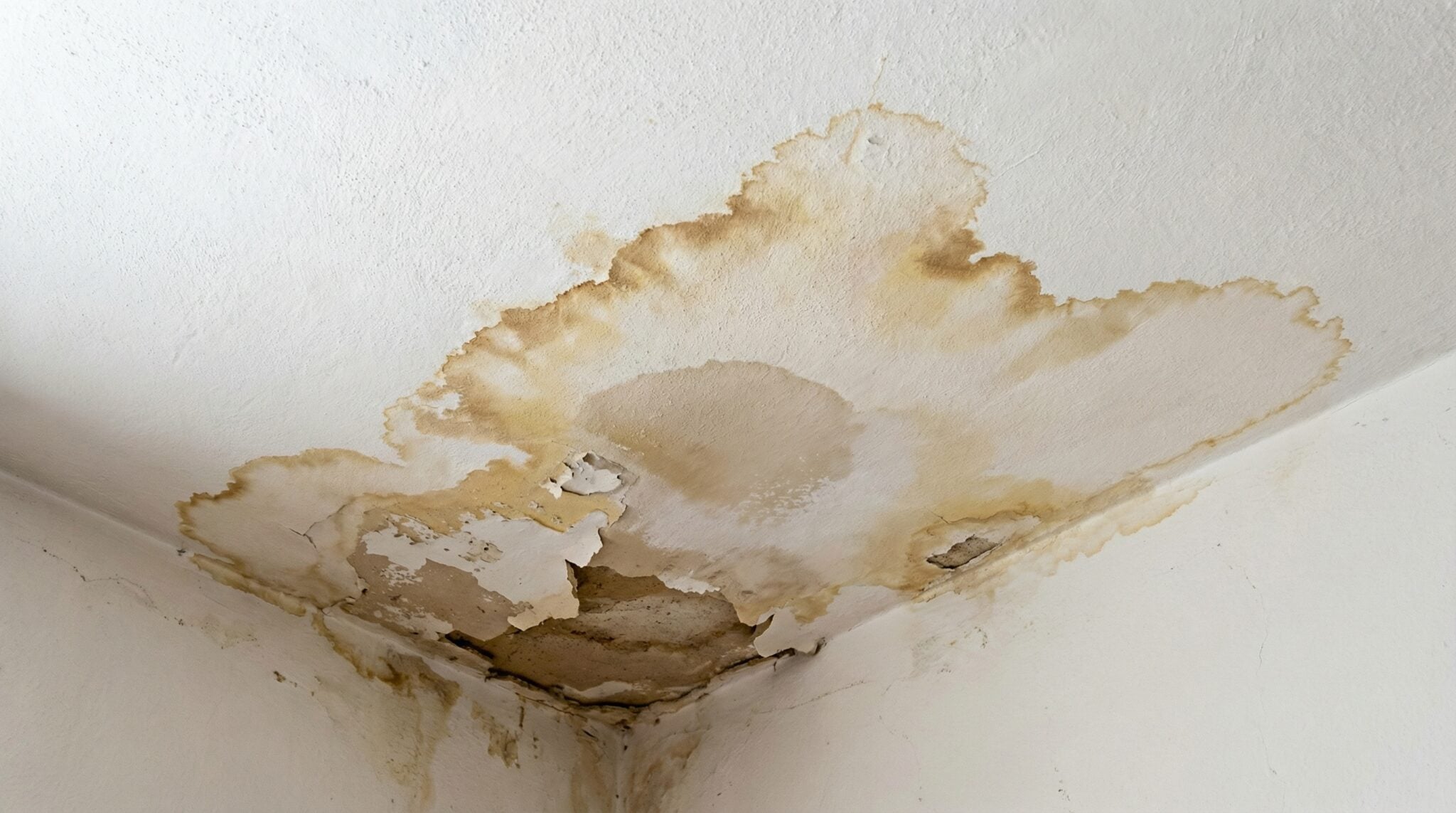 Water-stained ceiling with peeling paint from a leak