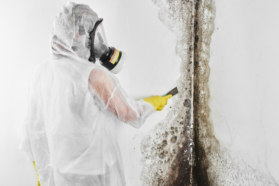 Technician in respirator removing black mold