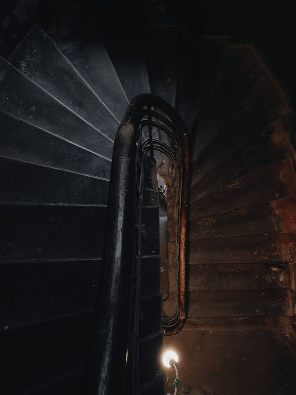 Basement stairs leading to a sewage-affected area